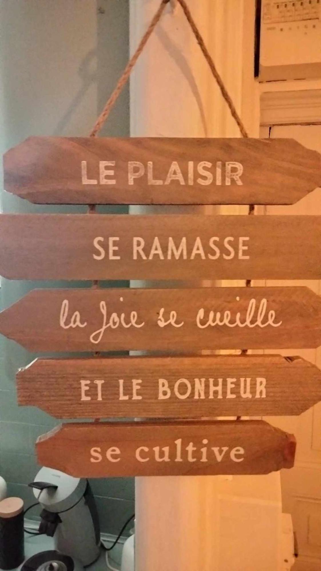 Le Nid Douillet Champetre Linge Fourni Apartamento La Bourboule Exterior foto